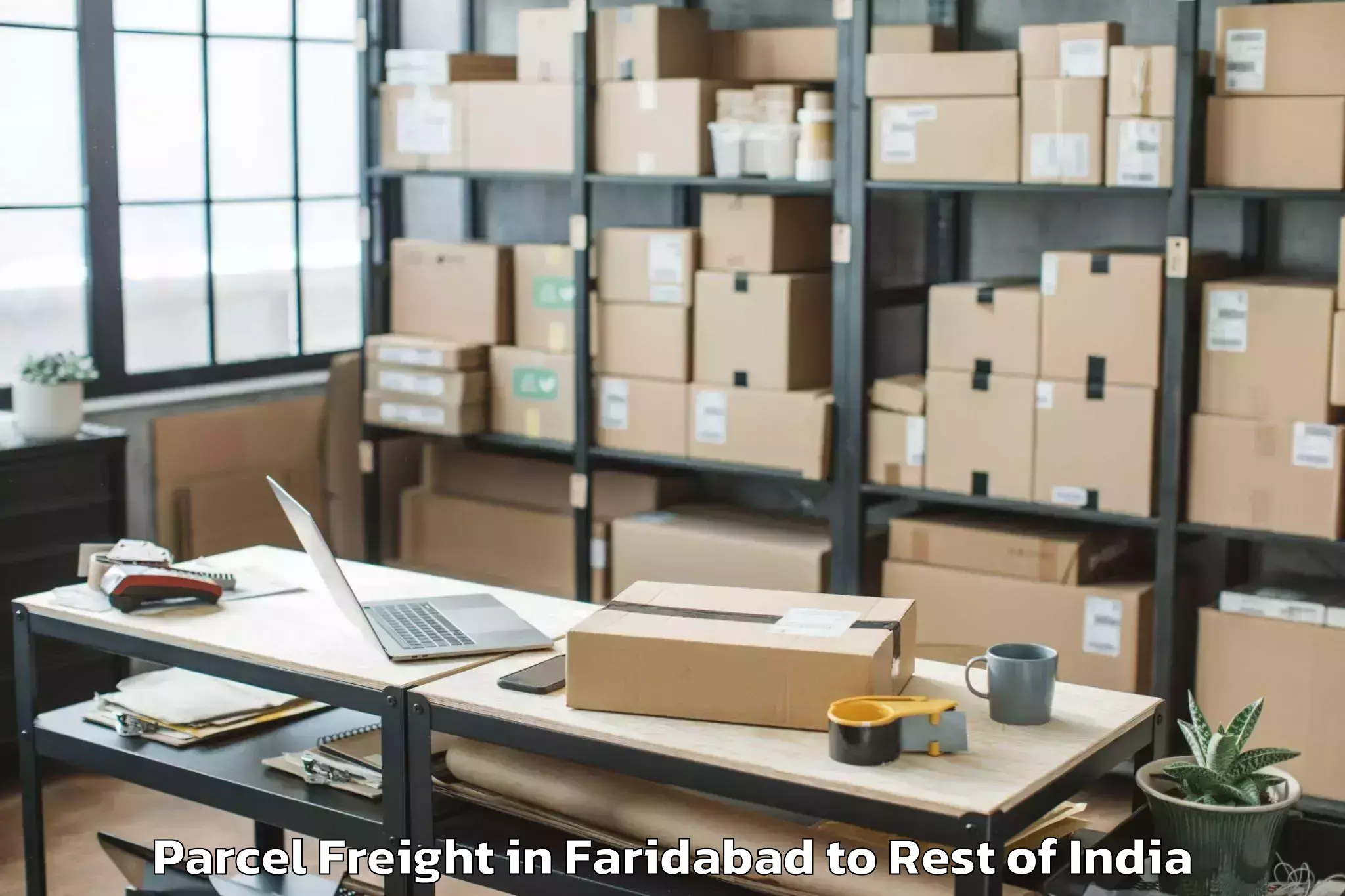 Book Faridabad to Srinagar Airport Sxr Parcel Freight Online